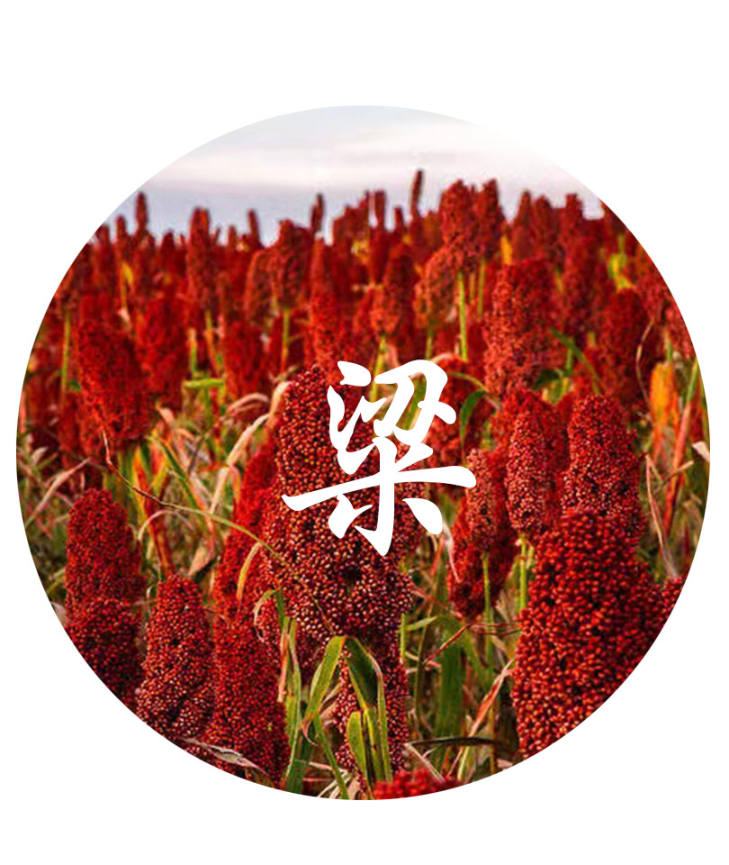 粱